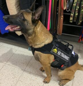 רתמה טקטית עשויה מרשת וניילון רב תכליתית