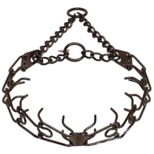 קולר דוקרנים מפלדה מצופה בנחושת-לכלבים גדולים