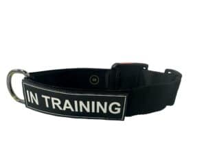 קולר ניילון איכותי עם כיתוב לבחירה