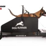 הליכון לכלבים Dog Runner TRACKS – ציוד מקצועי לאילוף, שיקום וכושר