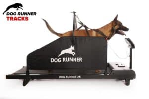 הליכון לכלבים Dog Runner TRACKS – ציוד מקצועי לאילוף, שיקום וכושר