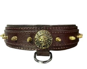 קולר יוקרתי מעור עם טוטמ זהב