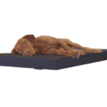 מזרון אורטופדי – 110 * 75 ס"מ