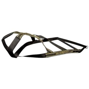 רתמה לכלב לסחיבת משקלים