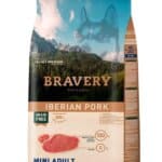 BRAVERY – מיני בוגר – חזיר