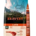 BRAVERY – מיני בוגר -כבש