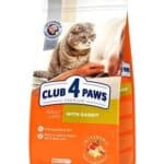 CLUB 4 PAWS – לחתול בוגר -ארנבת
