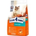 CLUB 4 PAWS – לחתול מסורס