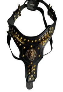 רתמות עור פרימיום לכלבים - עם ניטים זהב ואריה