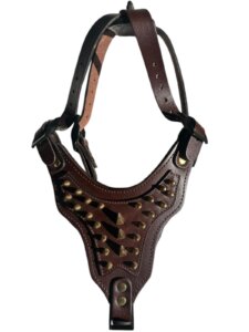 רתמות עור פרימיום לכלבים - עם ניטים זהב - חום