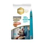 AMITY – לגורי כלבים – גזע קטן