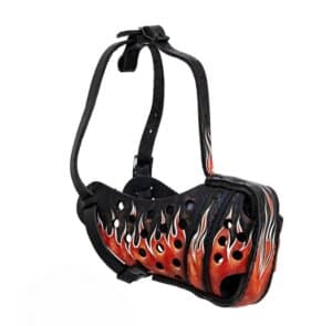 זמם תקיפה מעור - FIRE