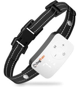 קולר נגד נביחות חדשני עם אפשרות לביטול הזרם - DOG TRAIN 10