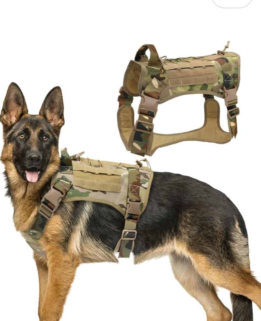 רתמה טקטית עם מחבר גומי