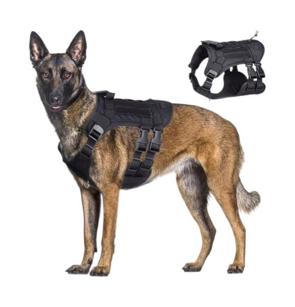 רתמה טקטי עם אבזם כפול