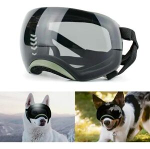 משקפי שמש איכותיים לכלבים