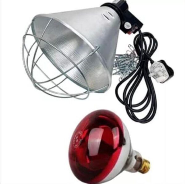 סט מנורת אינפרא אדום פיליפס ‎250W‎ + בית מנורה עם רשת הגנה