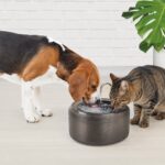 Pet Fountain – מזרקת “ברז” לחתולים וכלבים קטנים (3 ליטר)