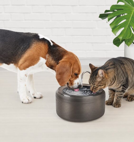 Pet Fountain – מזרקת “ברז” לחתולים וכלבים קטנים (3 ליטר)