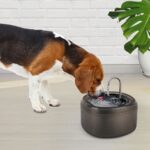 Pet Fountain – מזרקת “ברז” לחתולים וכלבים קטנים (3 ליטר)